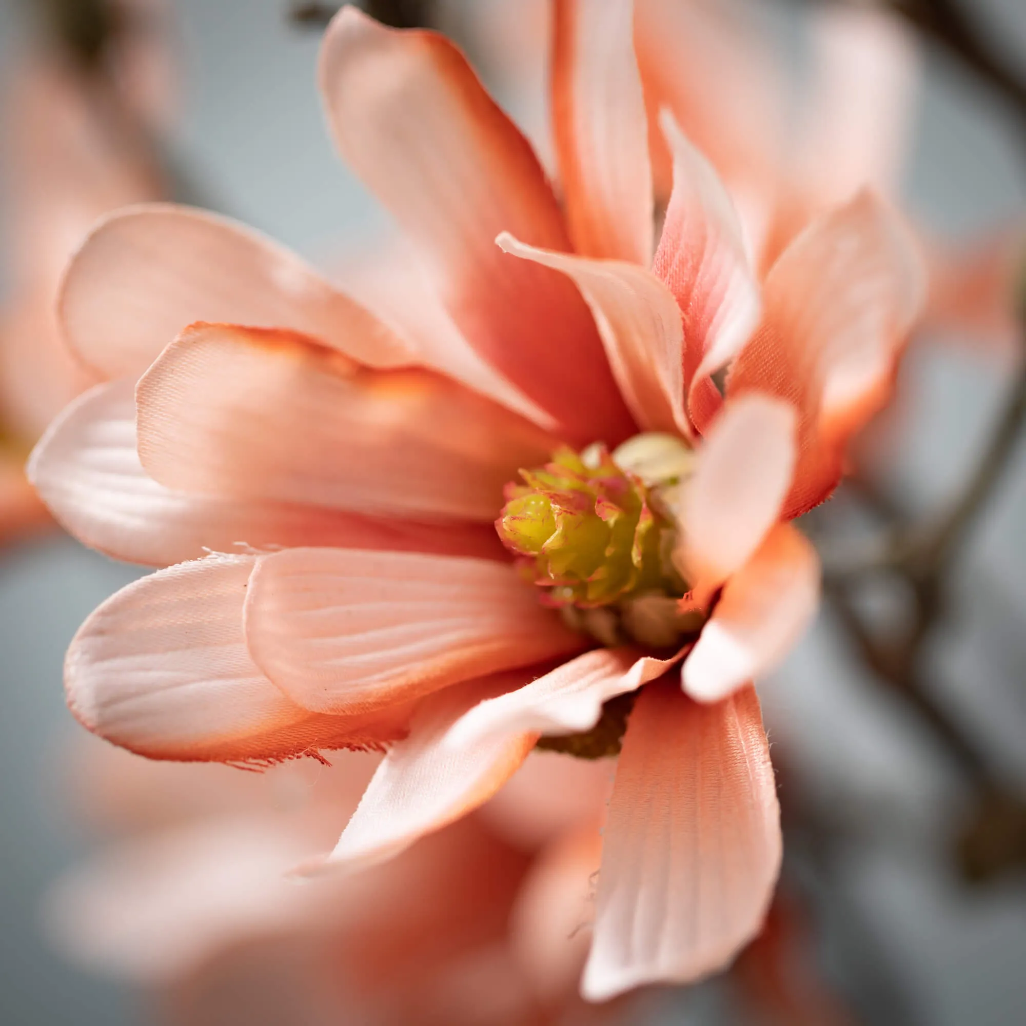 33.5"H Sullivans Salmon Coral Magnolia Spray, Red