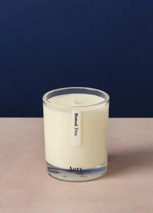 Bonsai Tree Scented Candle