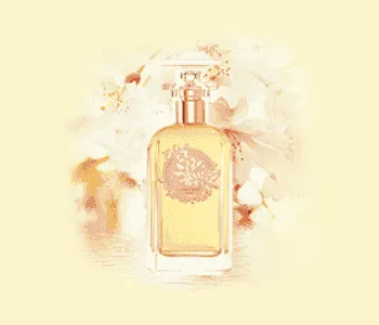 Houbigant Orangers en Fleurs Eau de Parfum 100ml Spray