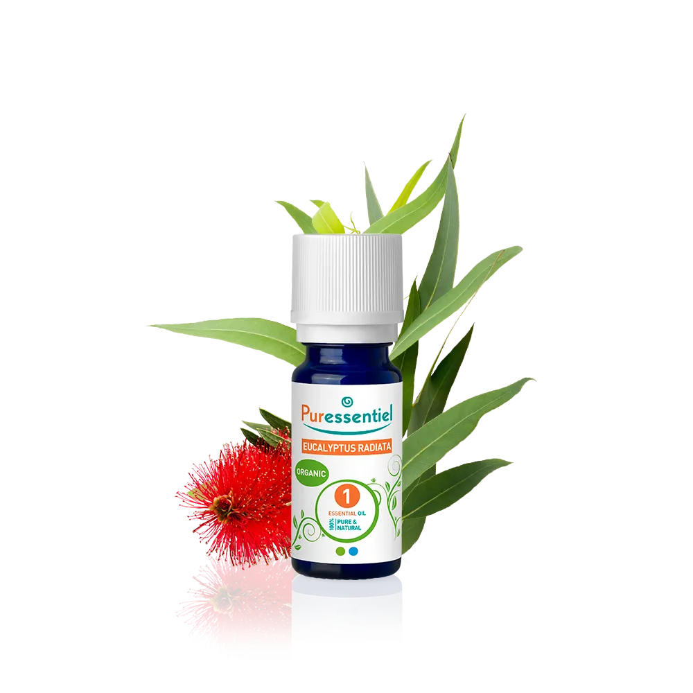 Organic Eucalyptus Radiata Essential Oil