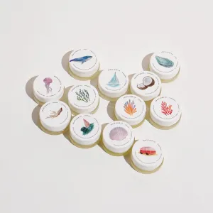 Scent Sample Pack