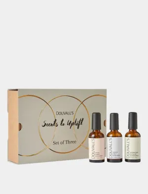Scents to Uplift Gift Set | Set of Three Home Scents to Revitalise and Refresh